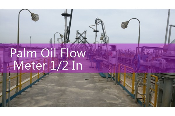 Palm Oil Flow Meter 1/2 Inch Laboratory Winterization Sizing Guide